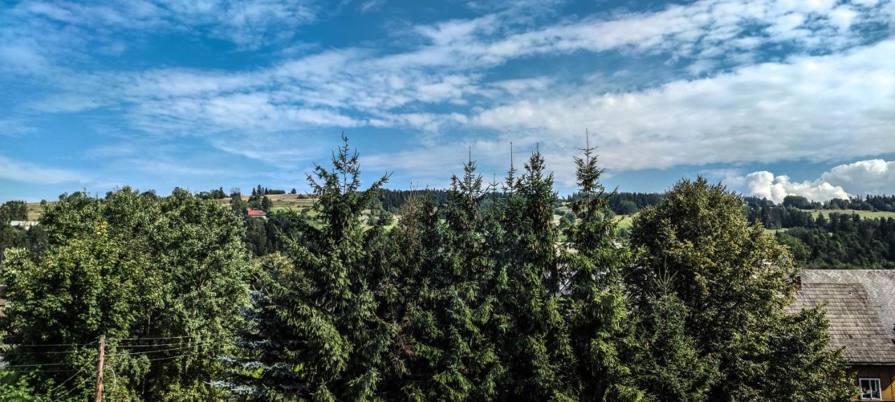 Watra Noclegi Biały Dunajec Buitenkant foto
